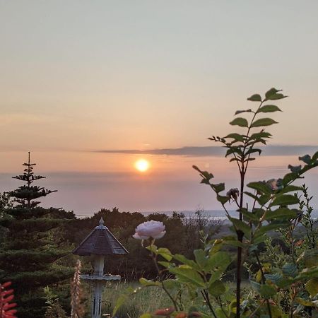 Hafoty Farm Cottages Caernarfon Eksteriør bilde