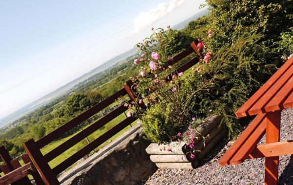 Hafoty Farm Cottages Caernarfon Eksteriør bilde